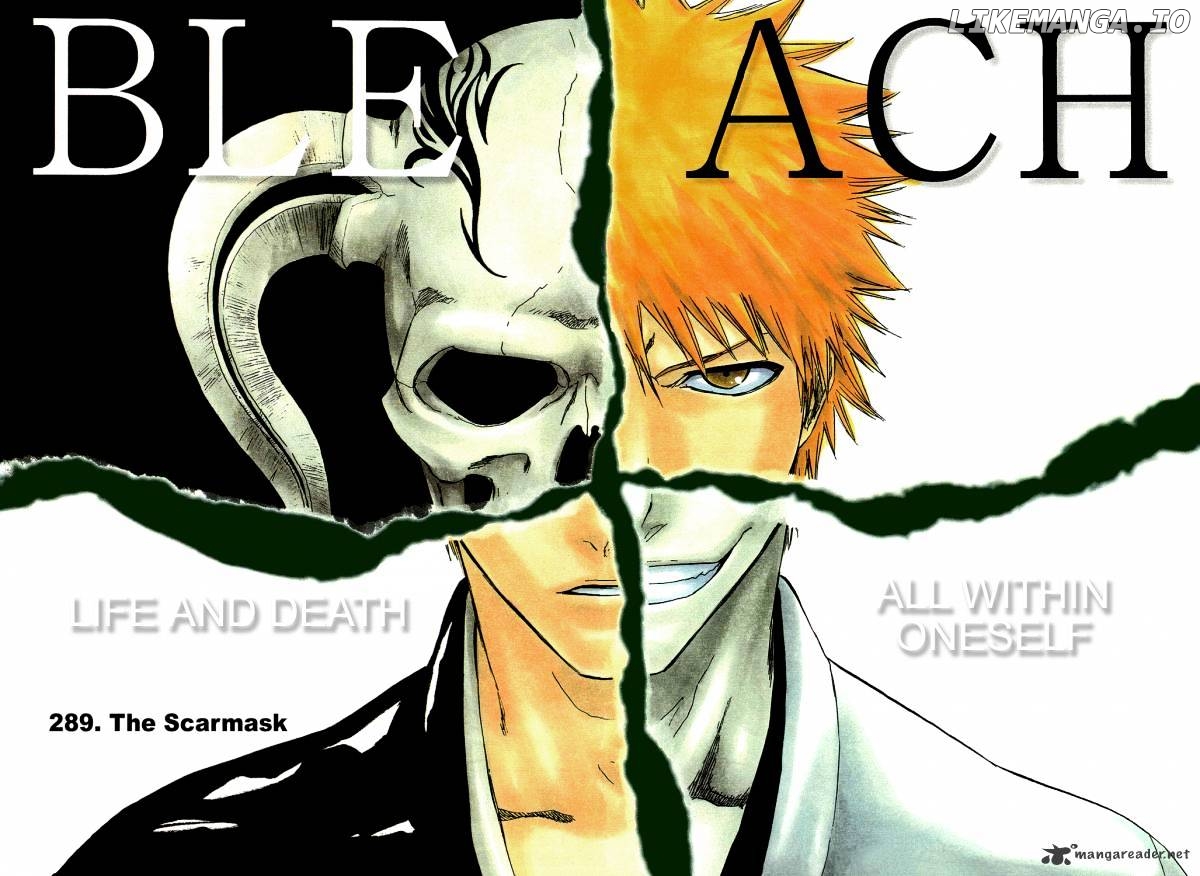 Bleach - Manga Chapter 289 - page 4