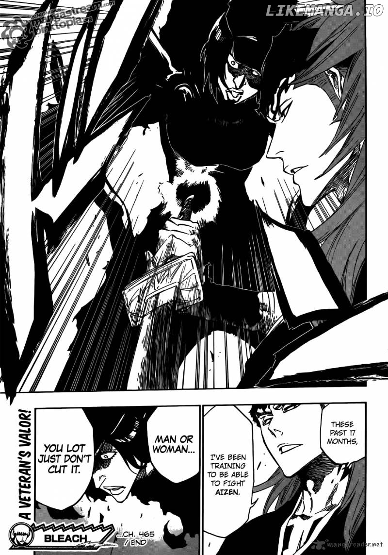 Bleach - Manga Chapter 465 - page 18