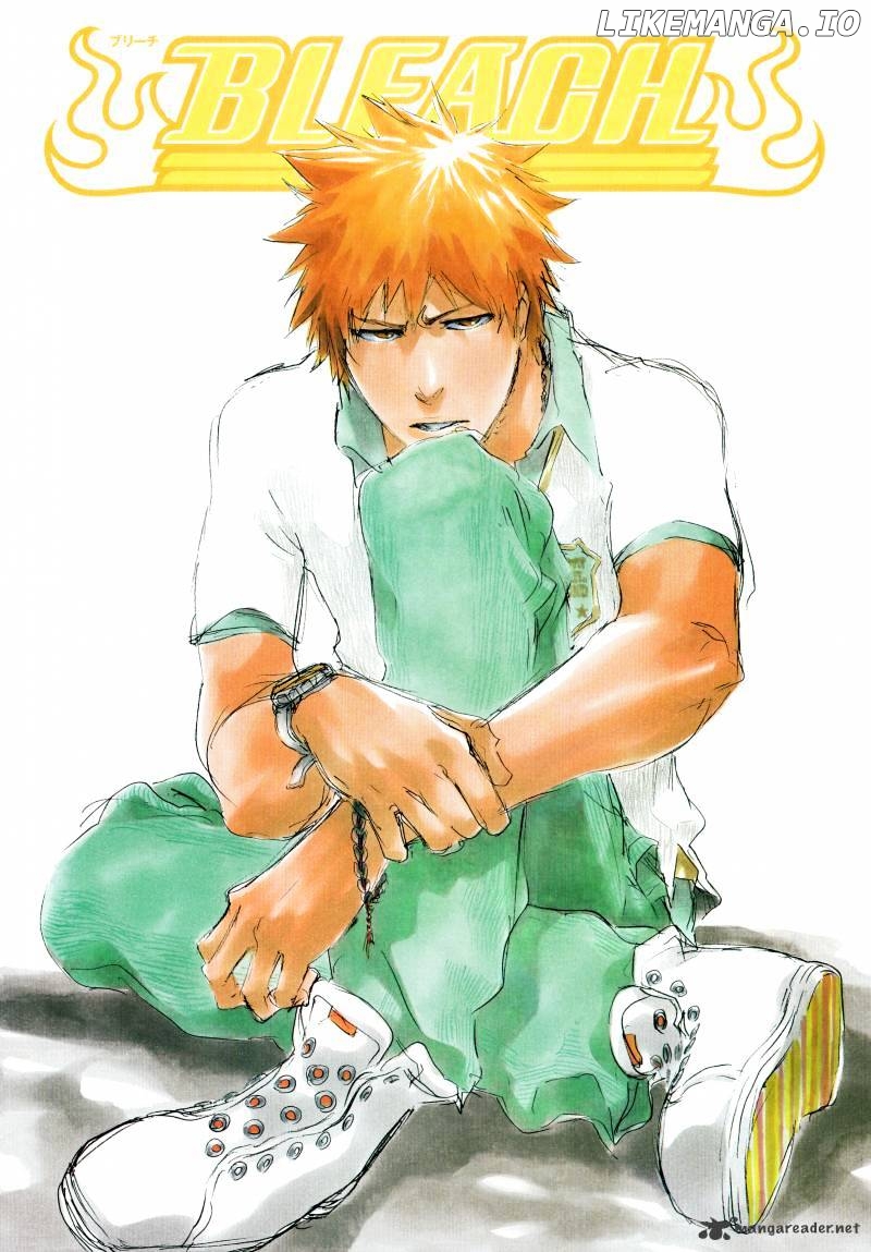 Bleach - Manga Chapter 411 - page 24