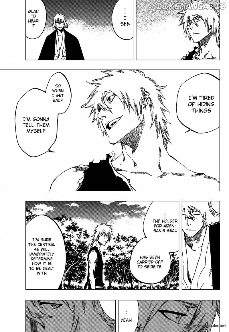 Bleach - Manga Chapter 422 - page 14