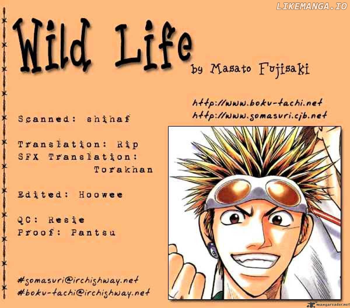 Wild Life chapter 11 - page 33