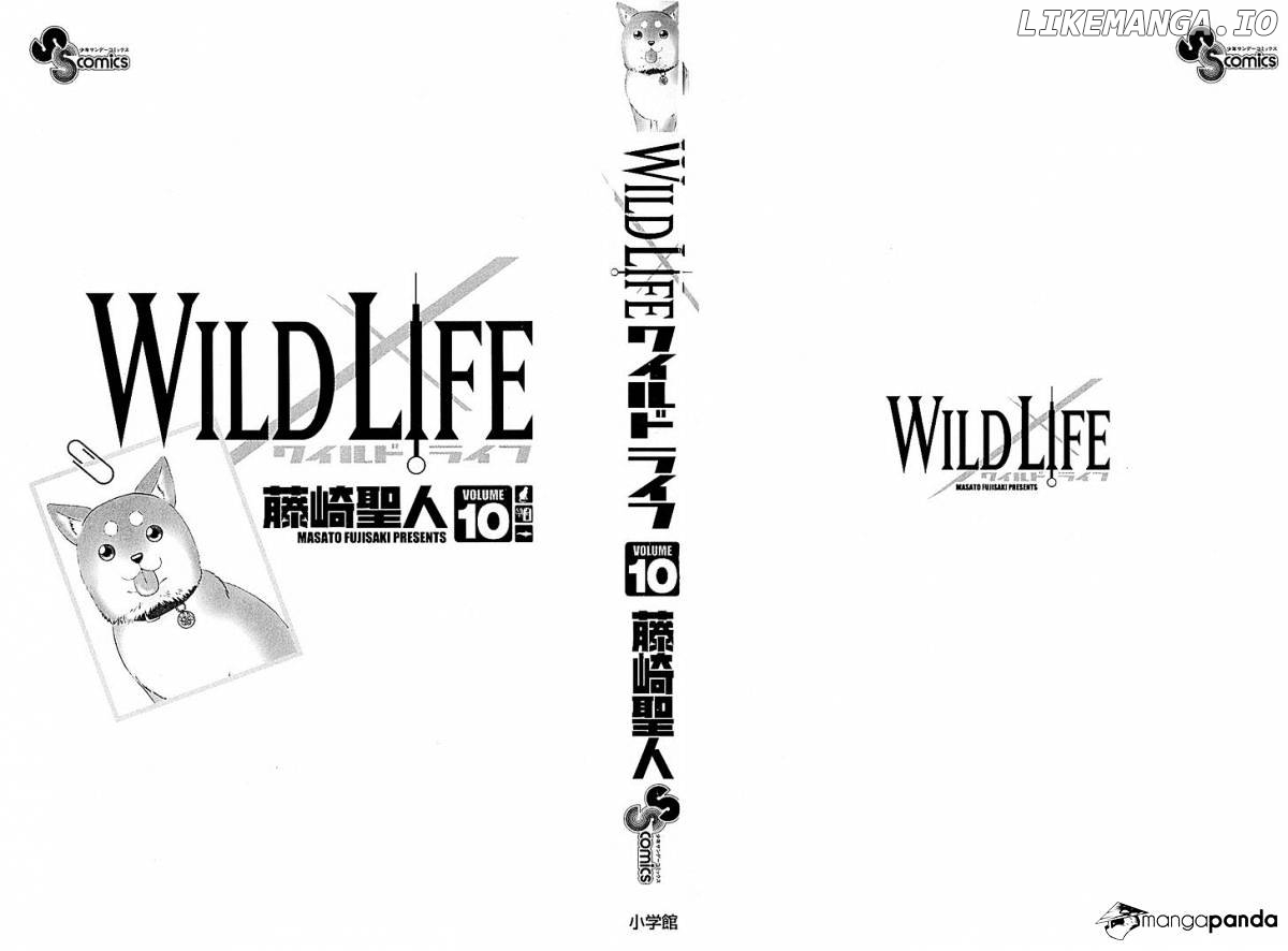 Wild Life chapter 78 - page 3