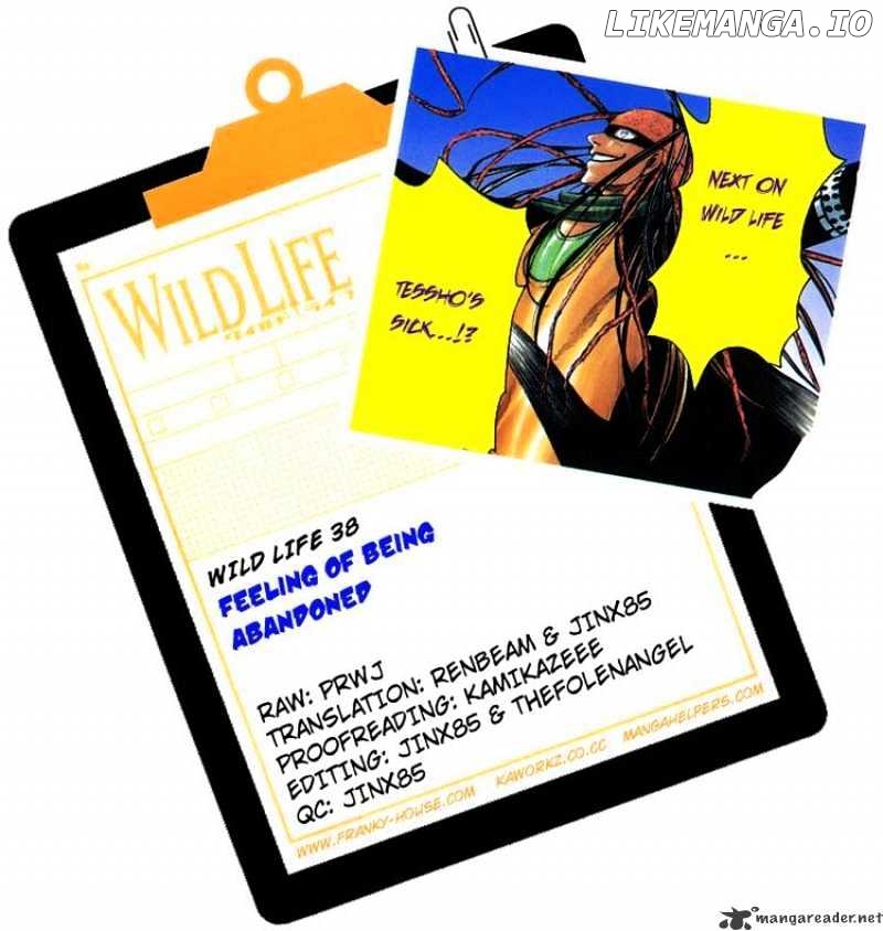Wild Life chapter 38 - page 34