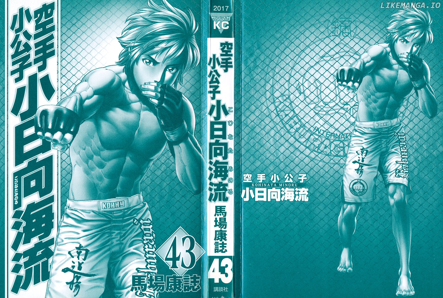 Karate Shoukoushi Kohinata Minoru Chapter 428 - page 2