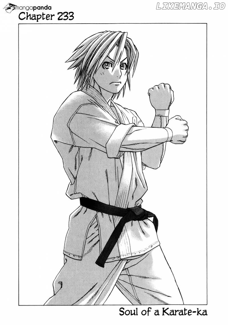 Karate Shoukoushi Kohinata Minoru Chapter 233 - page 1
