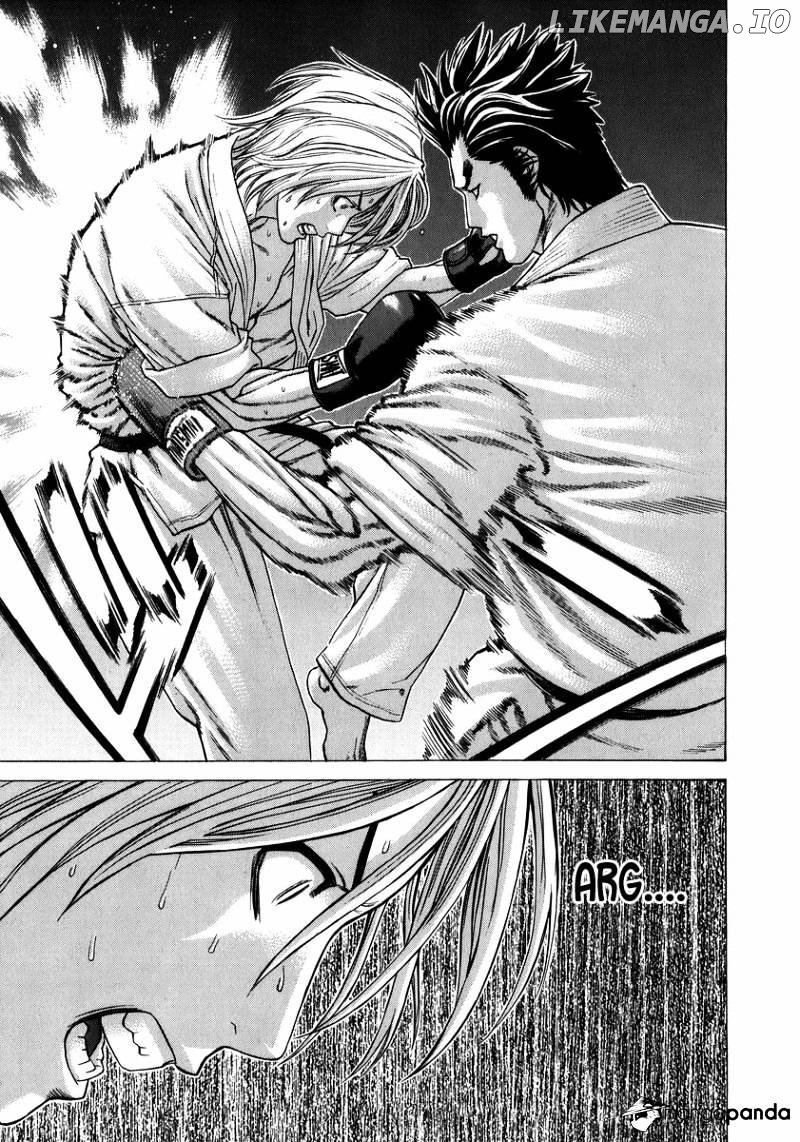Karate Shoukoushi Kohinata Minoru Chapter 233 - page 13