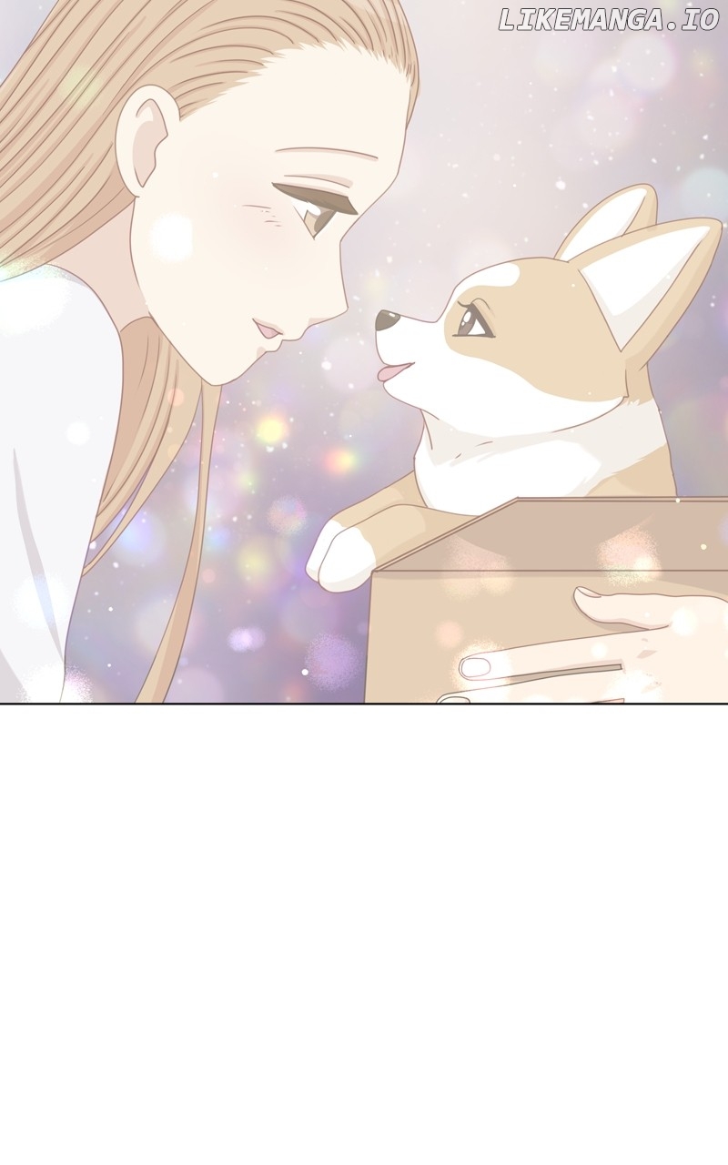 The Dog Diaries Chapter 140 - page 47