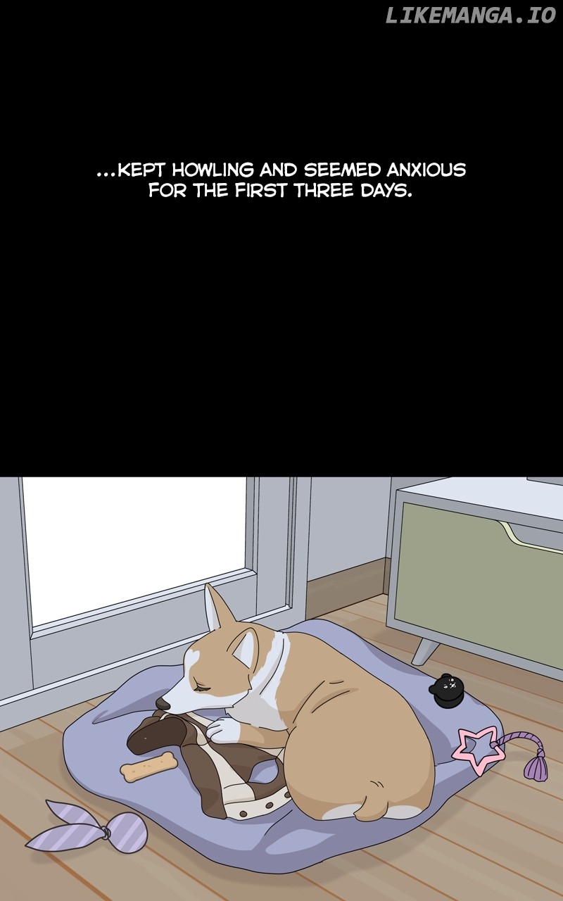 The Dog Diaries Chapter 142 - page 28