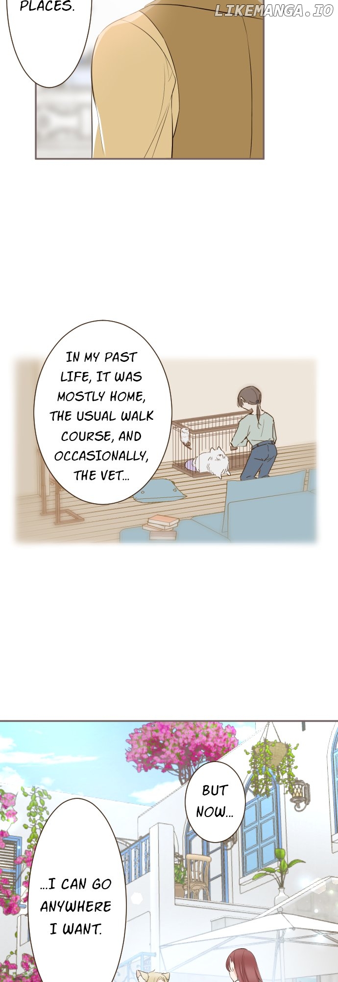 Protected by My Dragon Knight Chapter 139 - page 7
