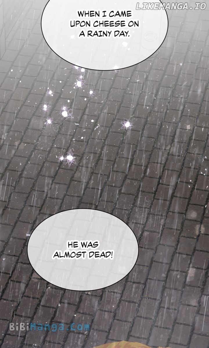 Terrarium Adventure Chapter 71 - page 27