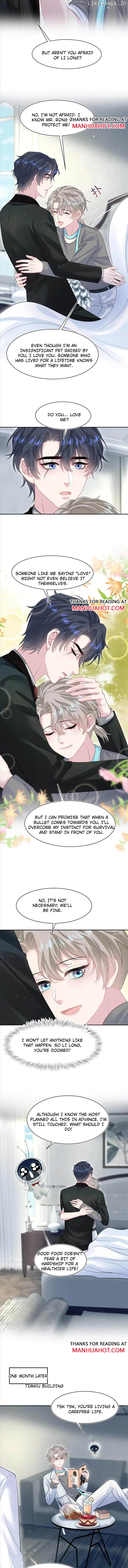 Brilliantly Beautiful White Lotus Teaching Online Chapter 287 - page 5