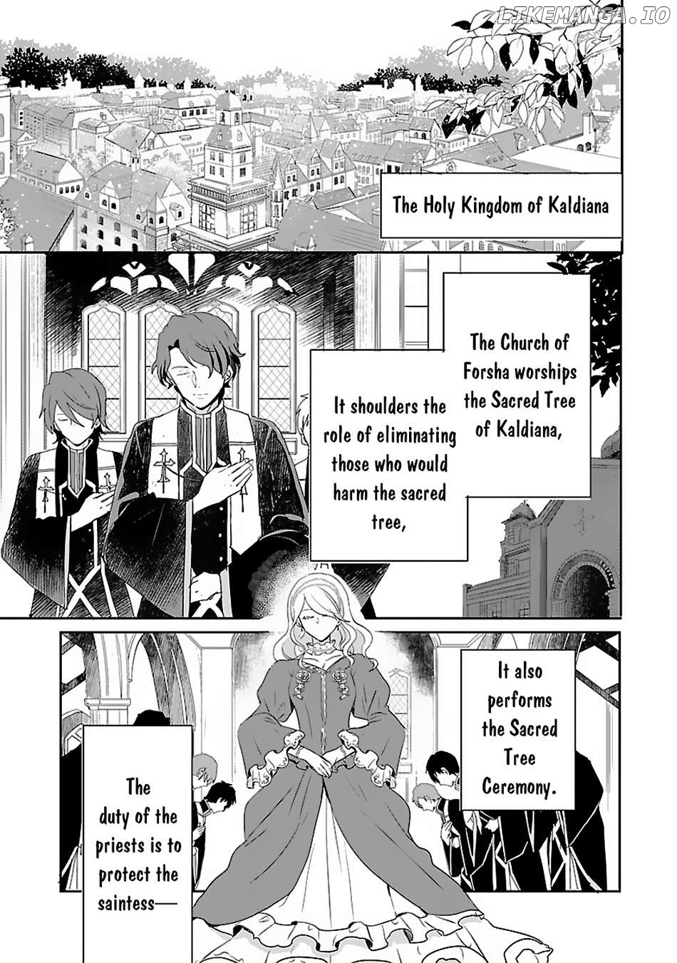 Gyakutaisarete Ita Shouka no Reijou wa Seijo no Chikara wo Te ni Ire, Mujikaku ni Youshanaku Gyakushuu suru Chapter 2 - page 6