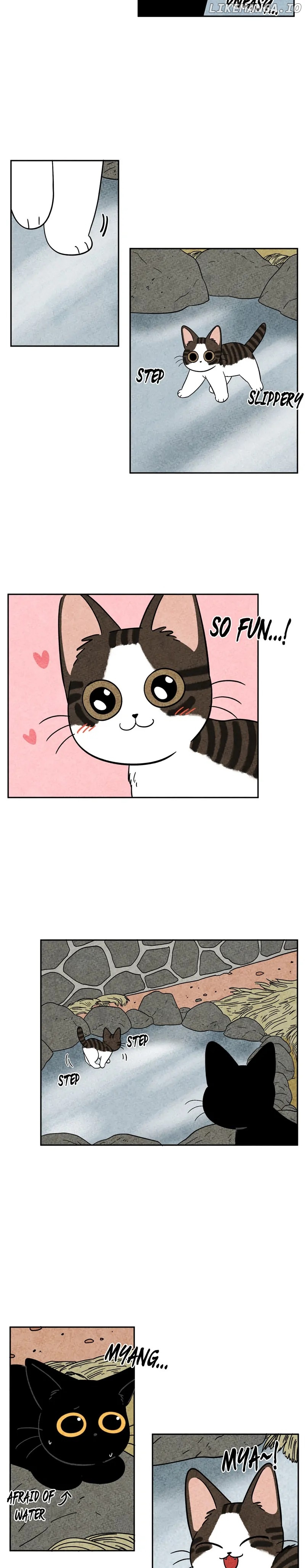 The Tale Of Goldiluck, The Black Kitten Chapter 61 - page 14