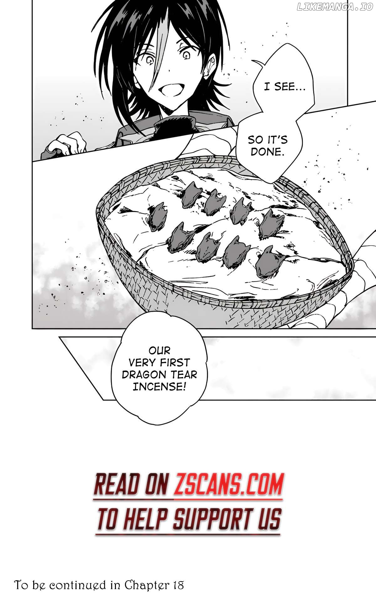 I've Been Kicked Out of an S-Rank Guild. But Only I Can Communicate With Dragons. Before I Knew It, I Became the Greatest Dragon Knight Chapter 17 - page 27