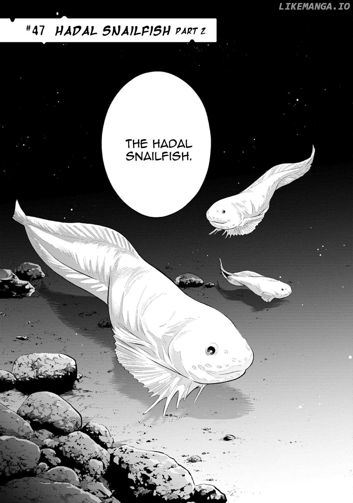 Deep Sea Aquarium Magmell Chapter 47 - page 3