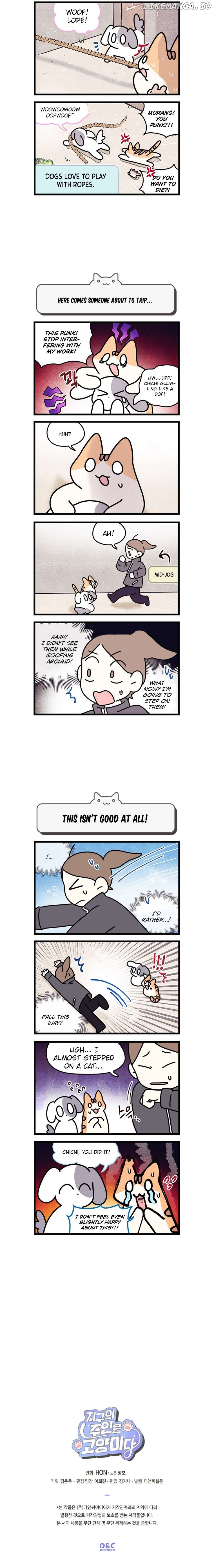 Cats Own The World Chapter 134 - page 3