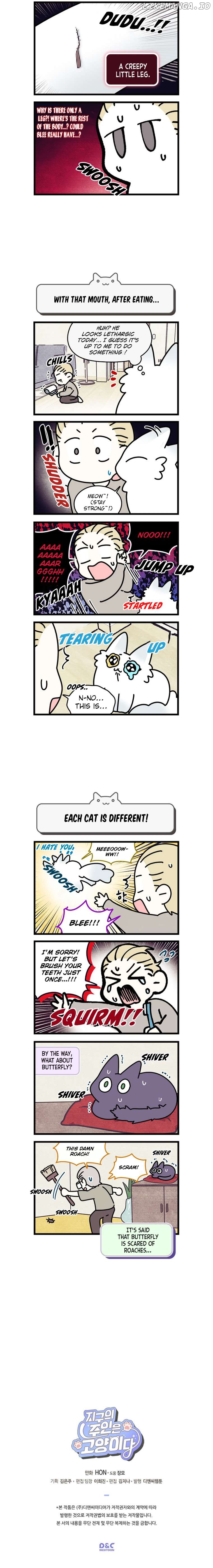 Cats Own The World Chapter 140 - page 3
