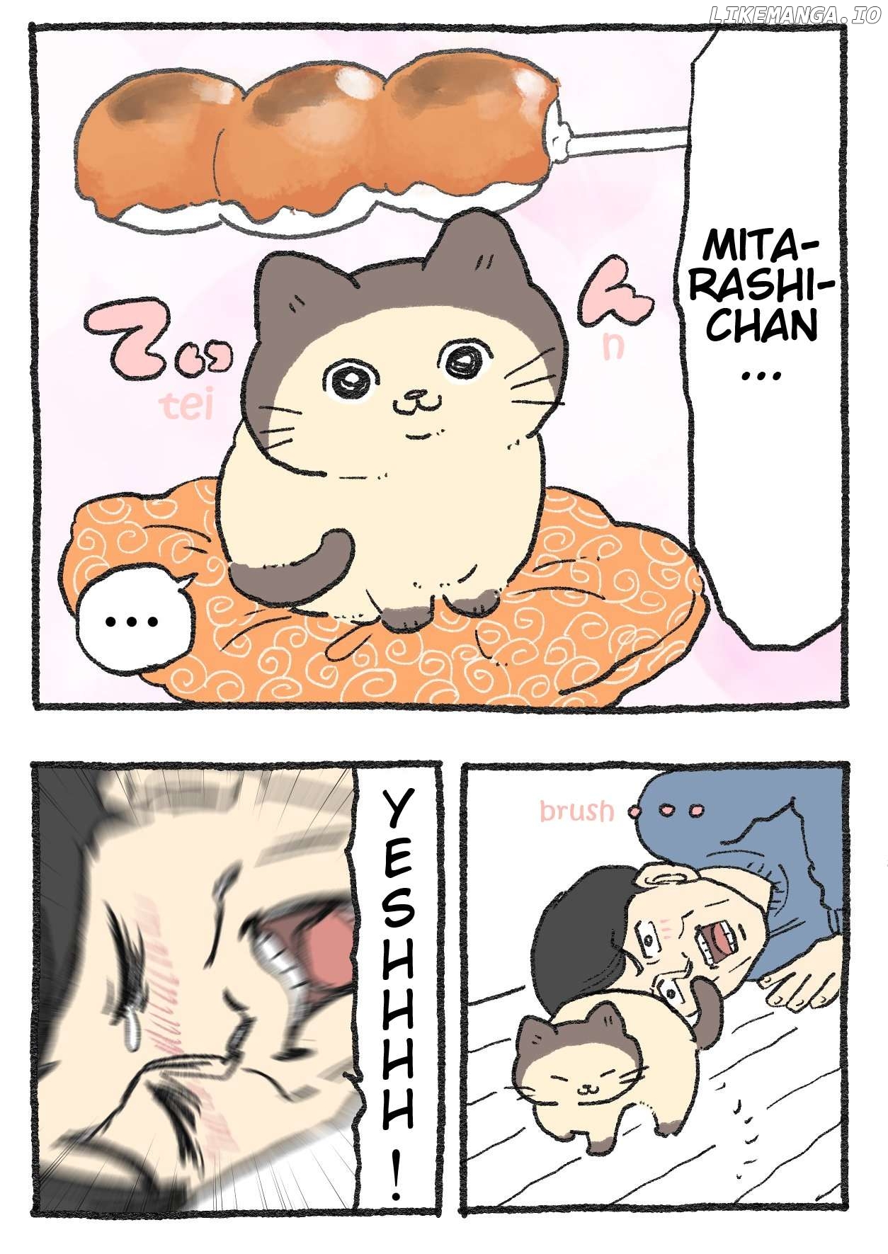 The Old Man Who Was Reincarnated As A Cat Chapter 378 - page 2