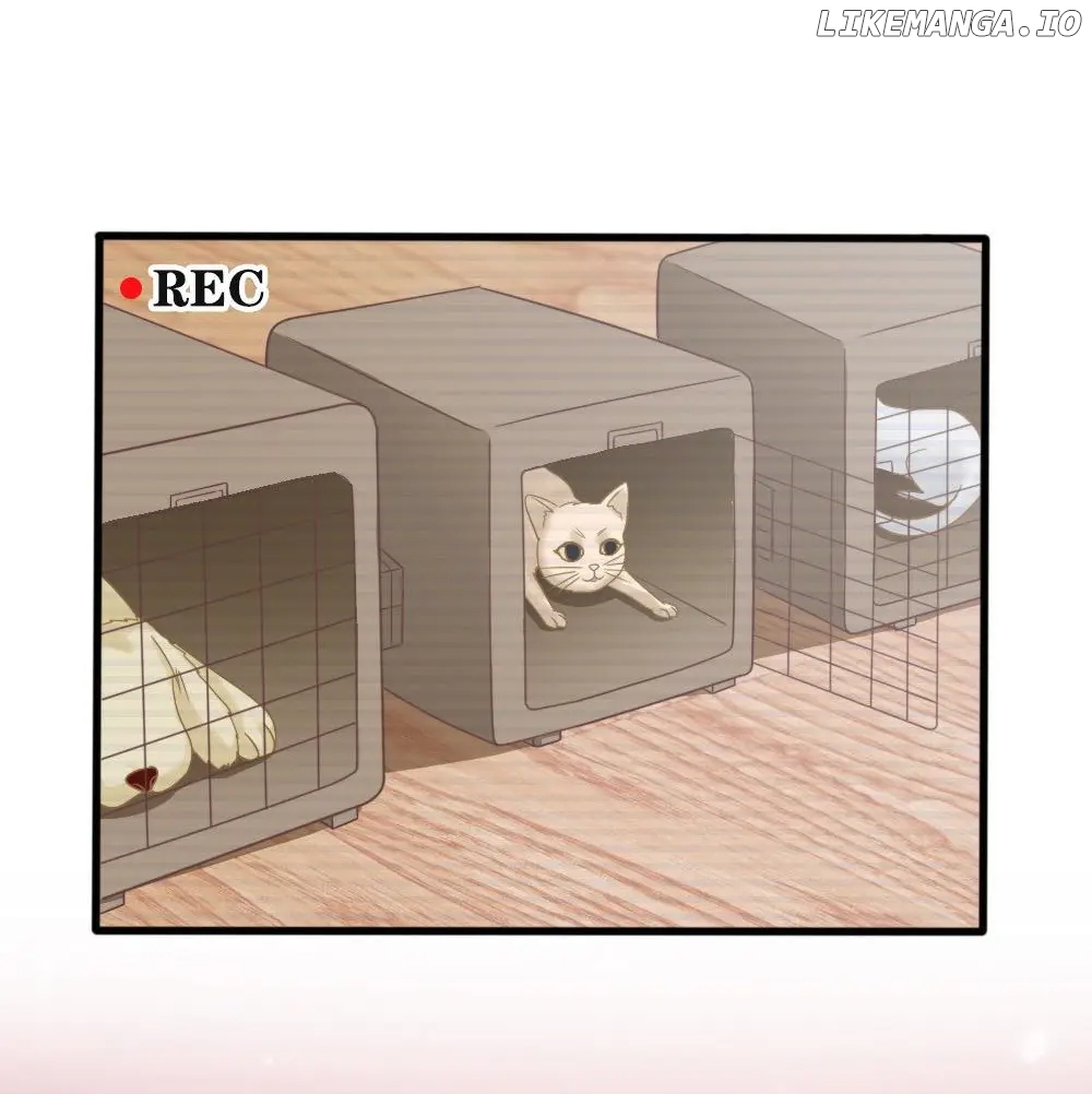 Flying Planet Chapter 39 - page 20