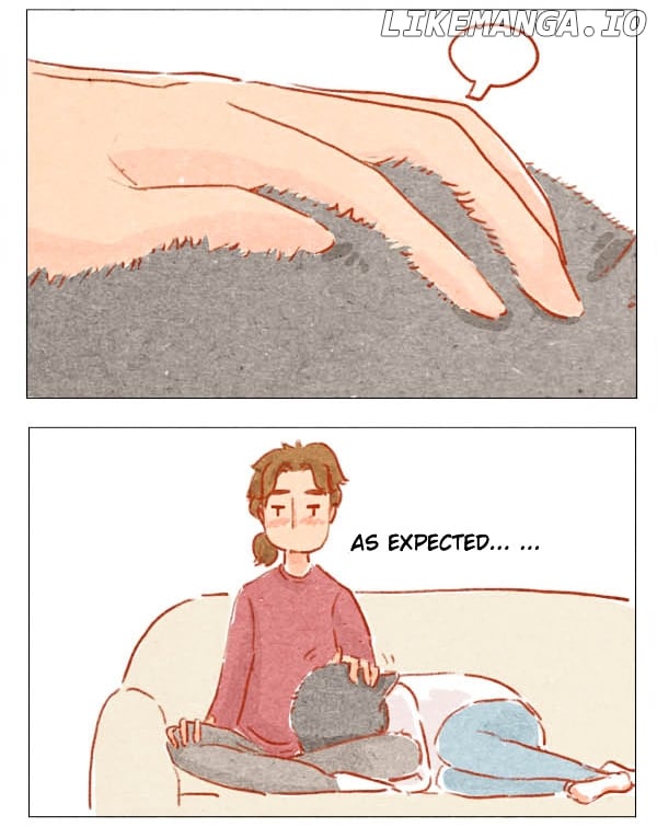 Hey, Your Cat Ears Are Showing! chapter 4 - page 2