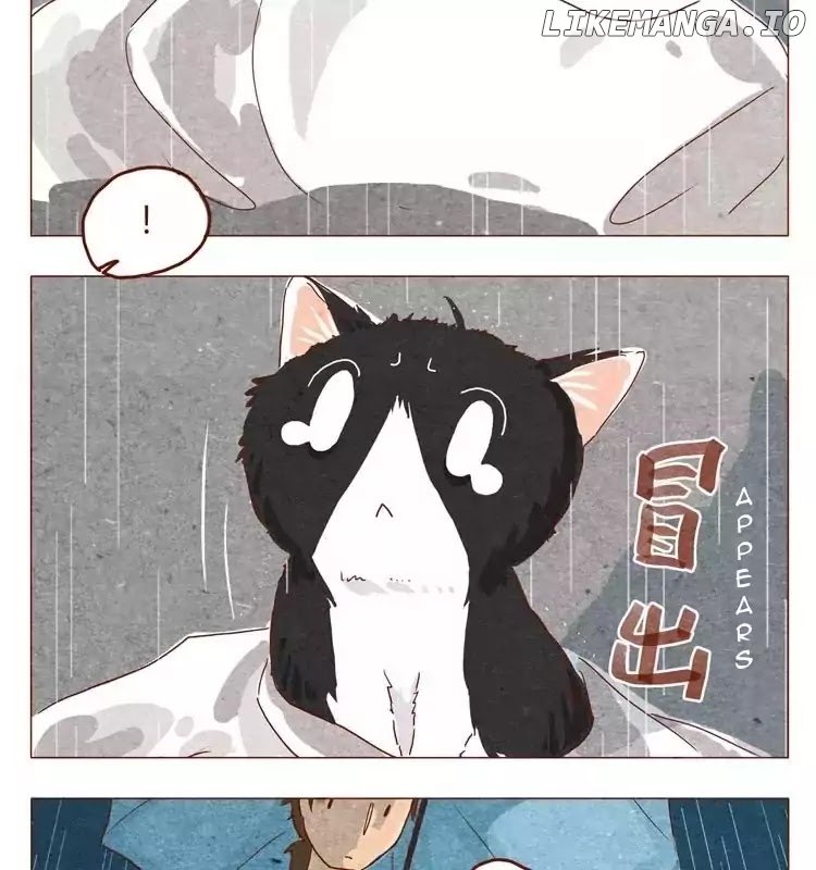Hey, Your Cat Ears Are Showing! chapter 15.5 - page 5