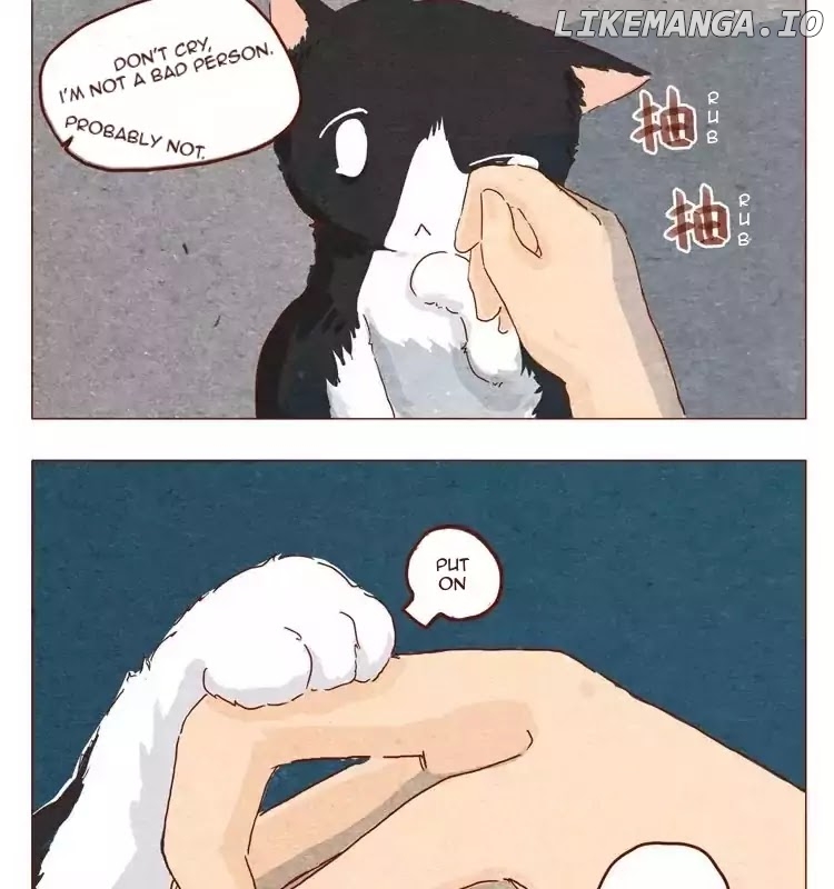 Hey, Your Cat Ears Are Showing! chapter 15.5 - page 9