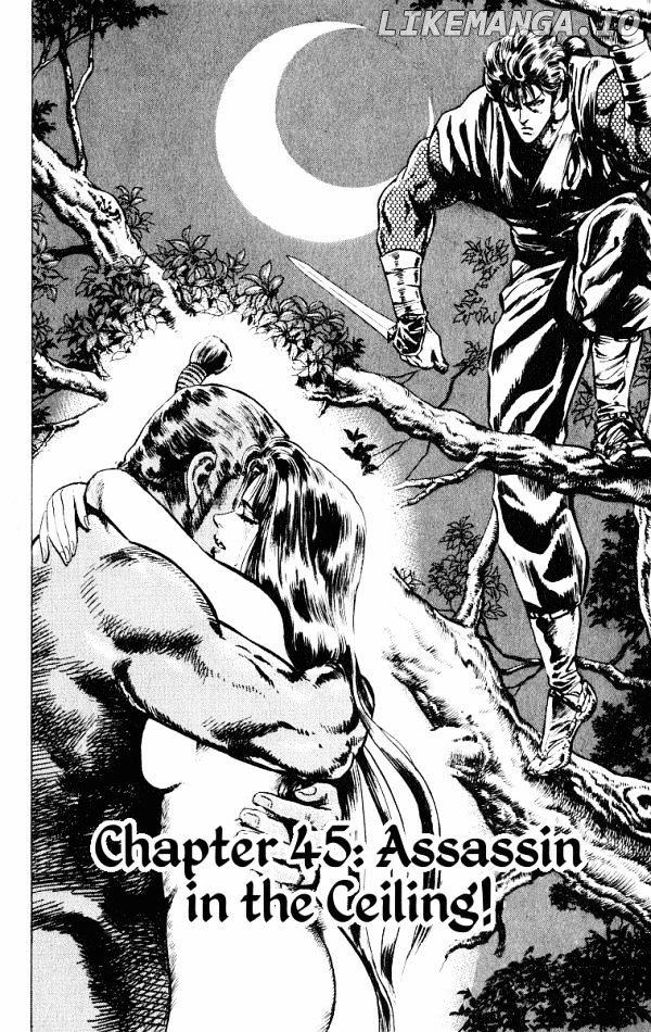 Kagemusha - Tokugawa Ieyasu chapter 45 - page 2