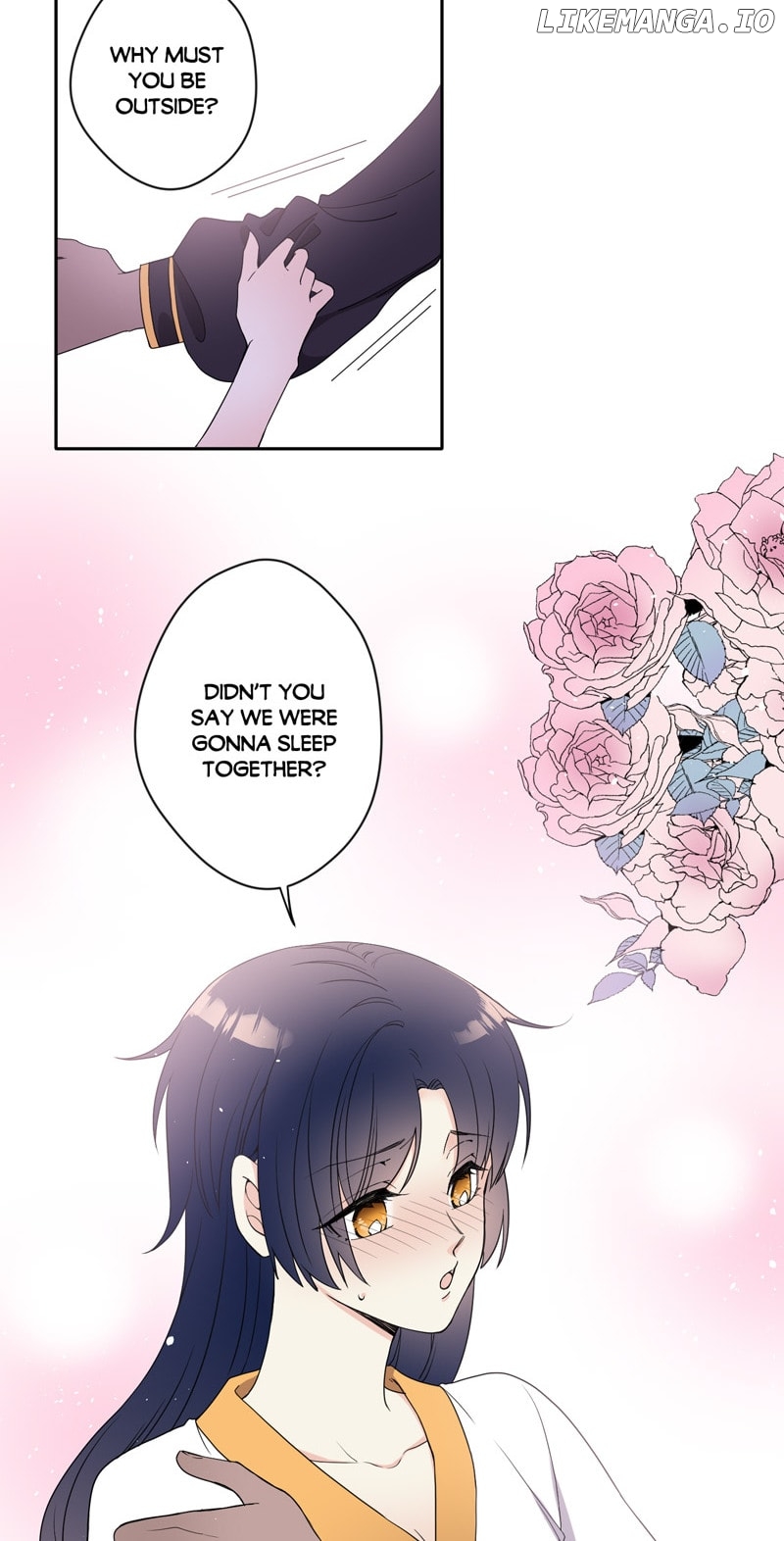 DARISHA/ Princess's Secret Sweetheart Chapter 50 - page 5