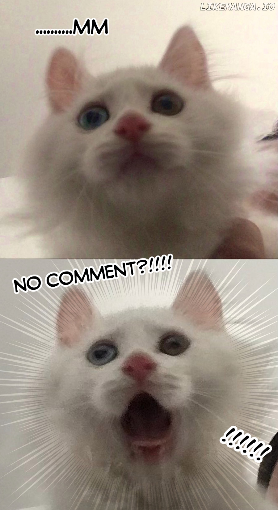DARISHA/ Princess's Secret Sweetheart Chapter 78 - page 41
