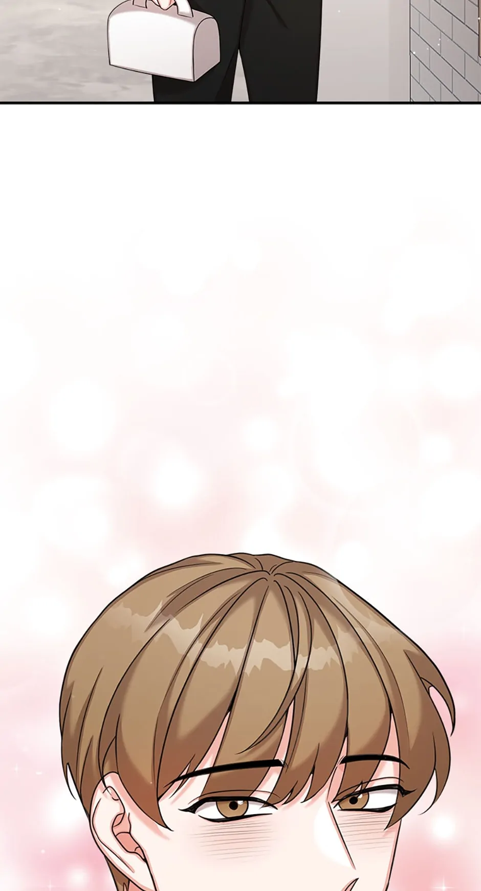 The Most Perfect Marriage Chapter 17 - page 66