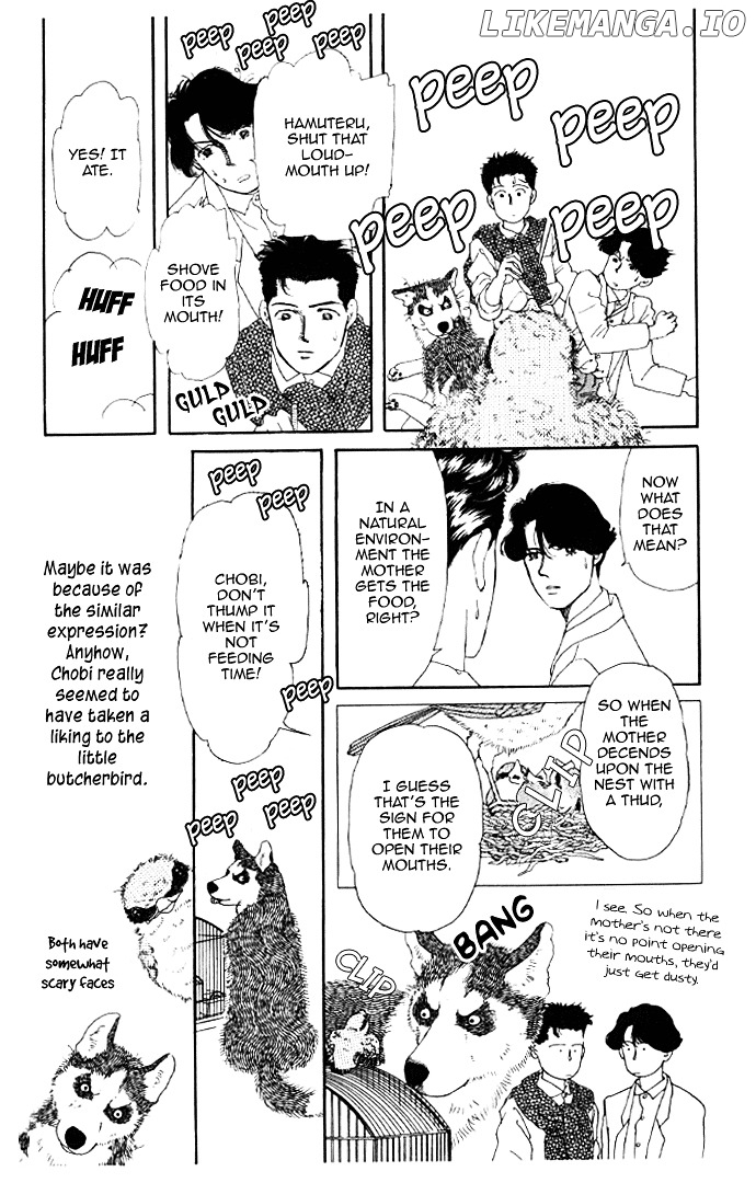 Doubutsu no Oishasan chapter 13 - page 5
