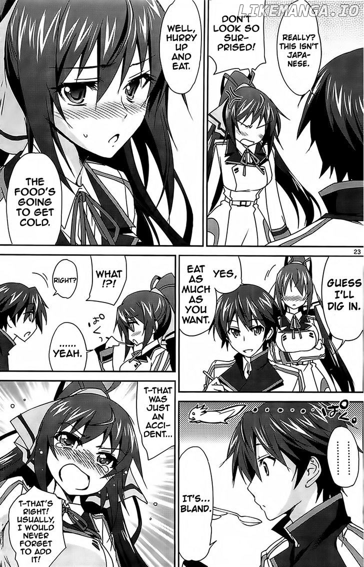 IS (YUUKI Homura) chapter 9 - page 25