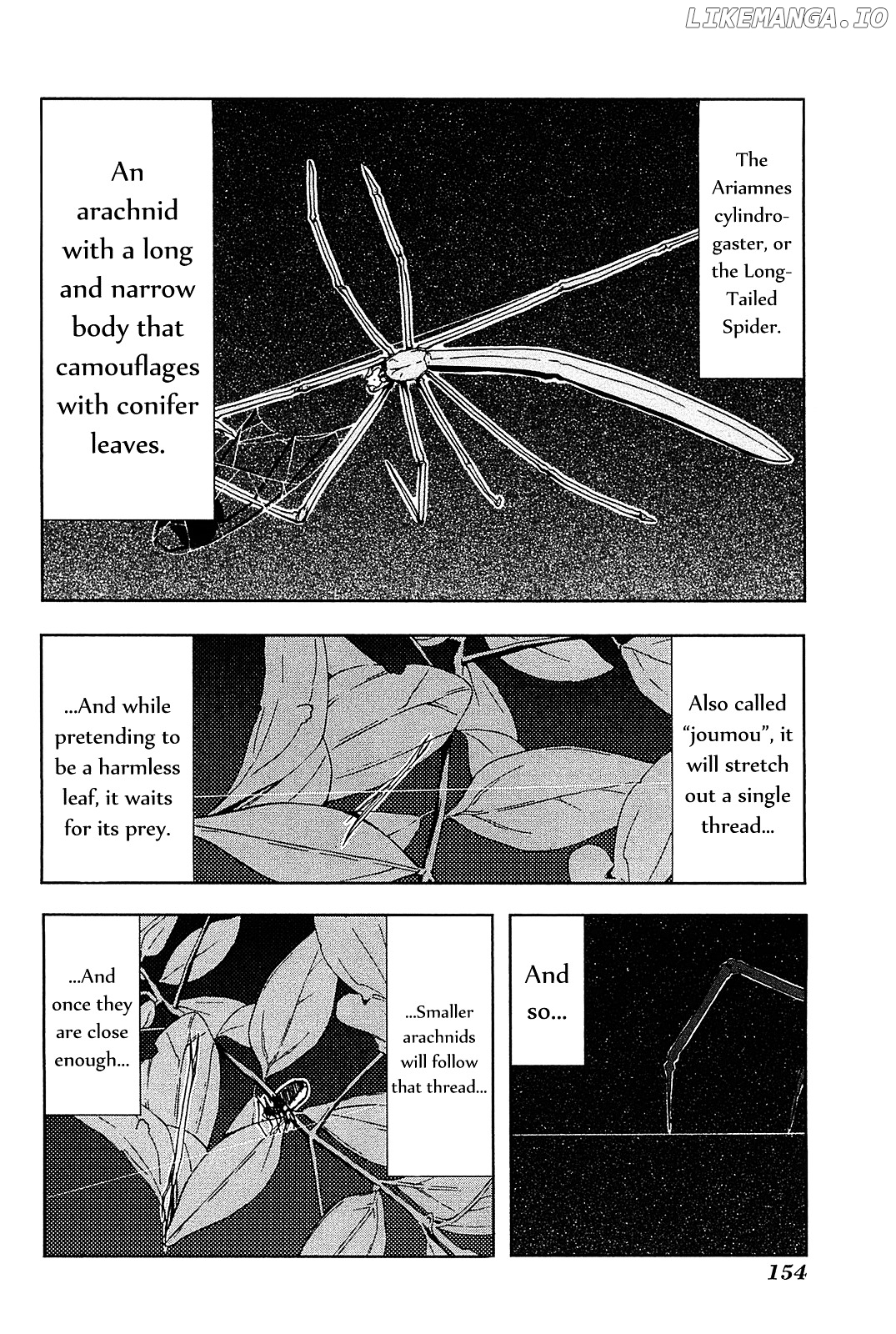 Arachnid - Manga chapter 5 - page 4