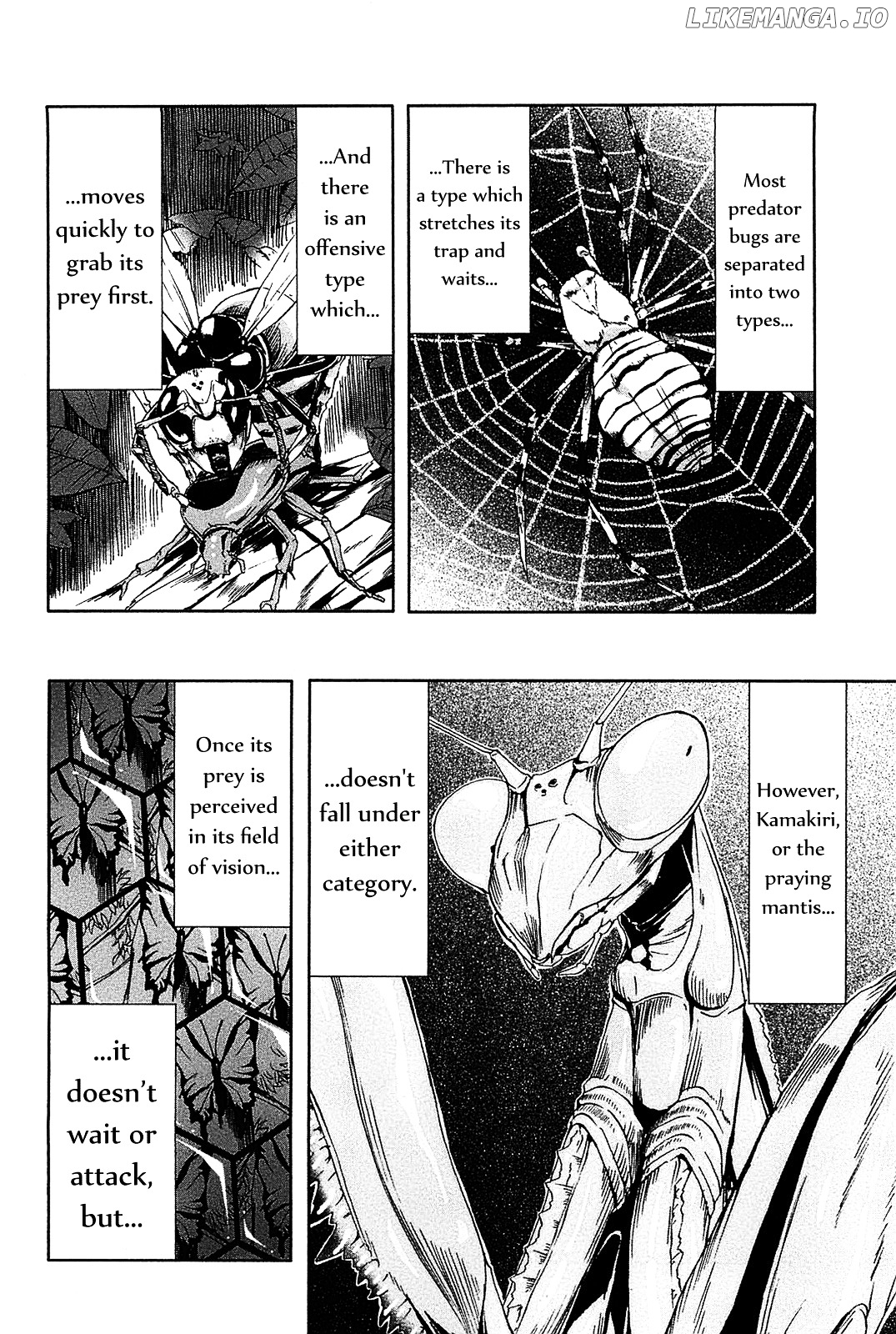 Arachnid - Manga chapter 6 - page 35
