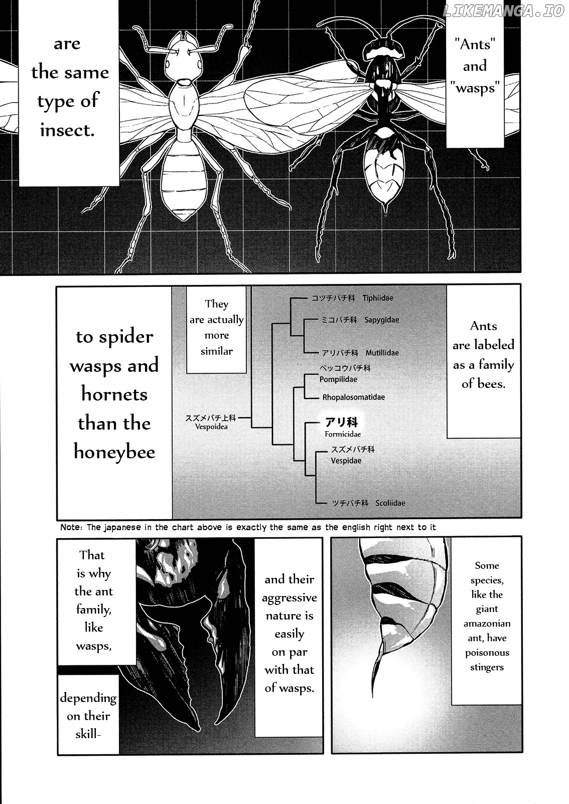 Arachnid - Manga chapter 46 - page 13