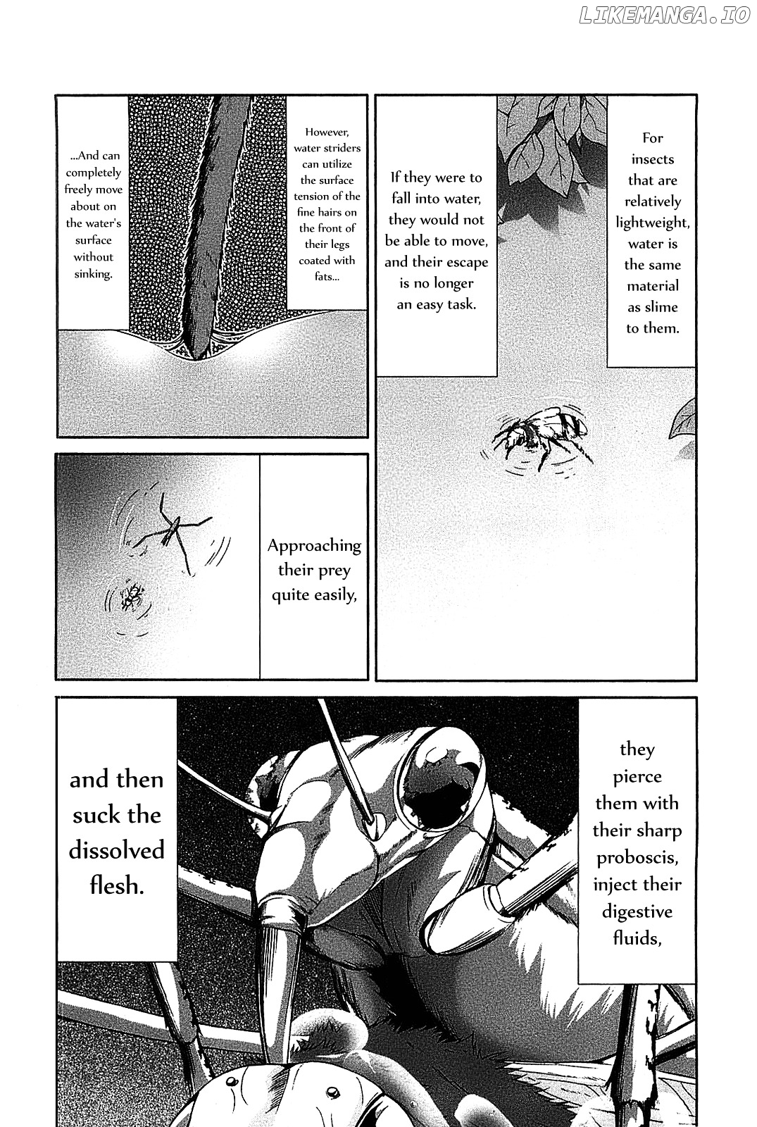 Arachnid - Manga chapter 19 - page 34