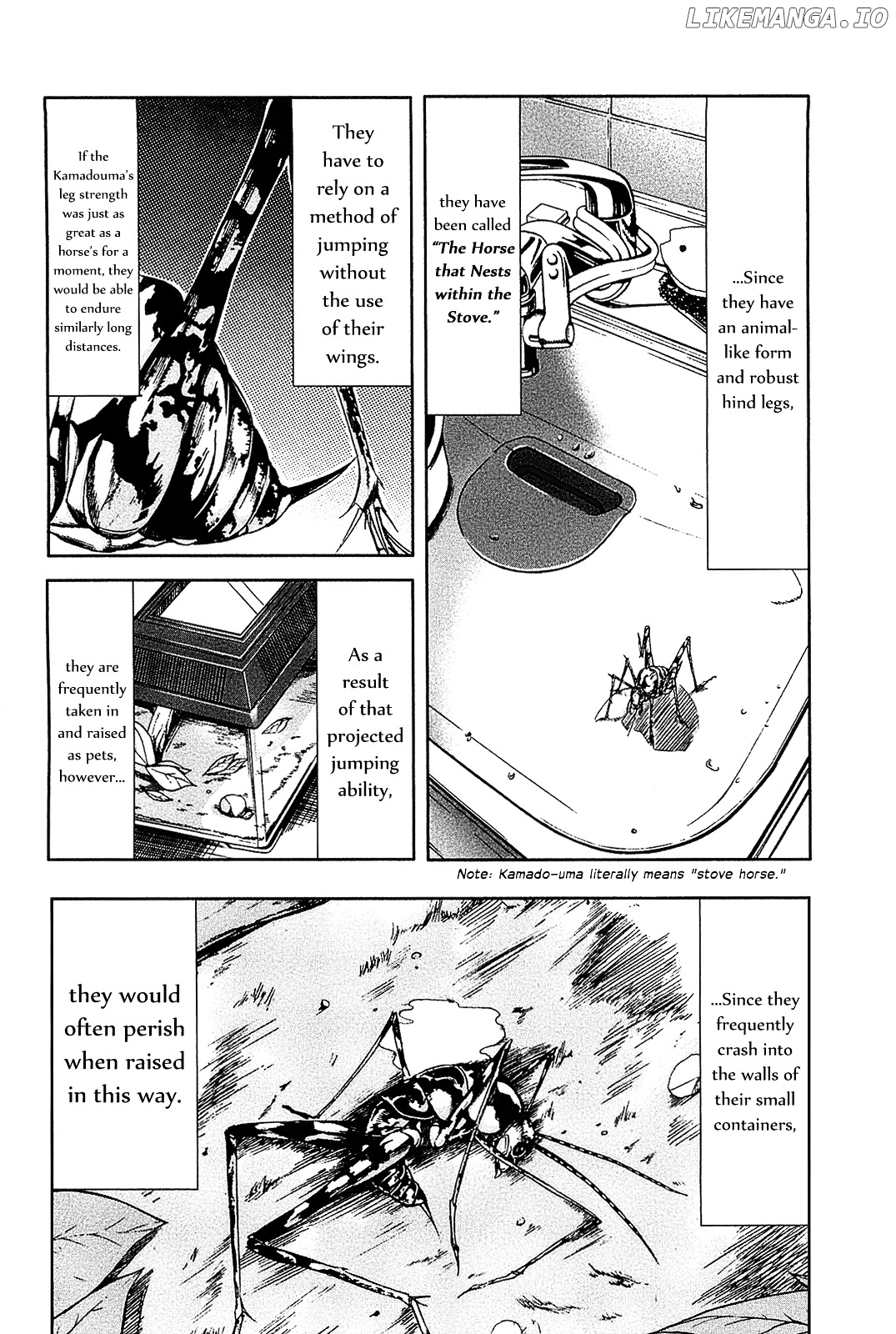 Arachnid - Manga chapter 15 - page 24