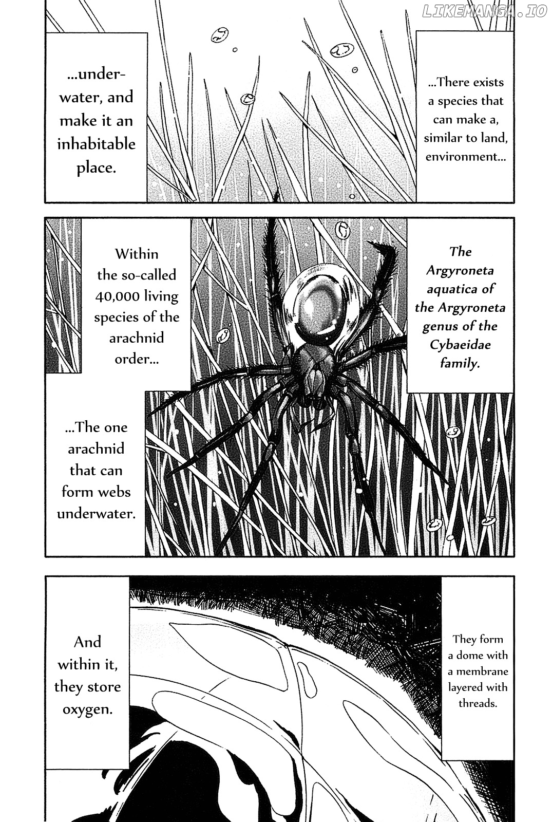 Arachnid - Manga chapter 20 - page 14