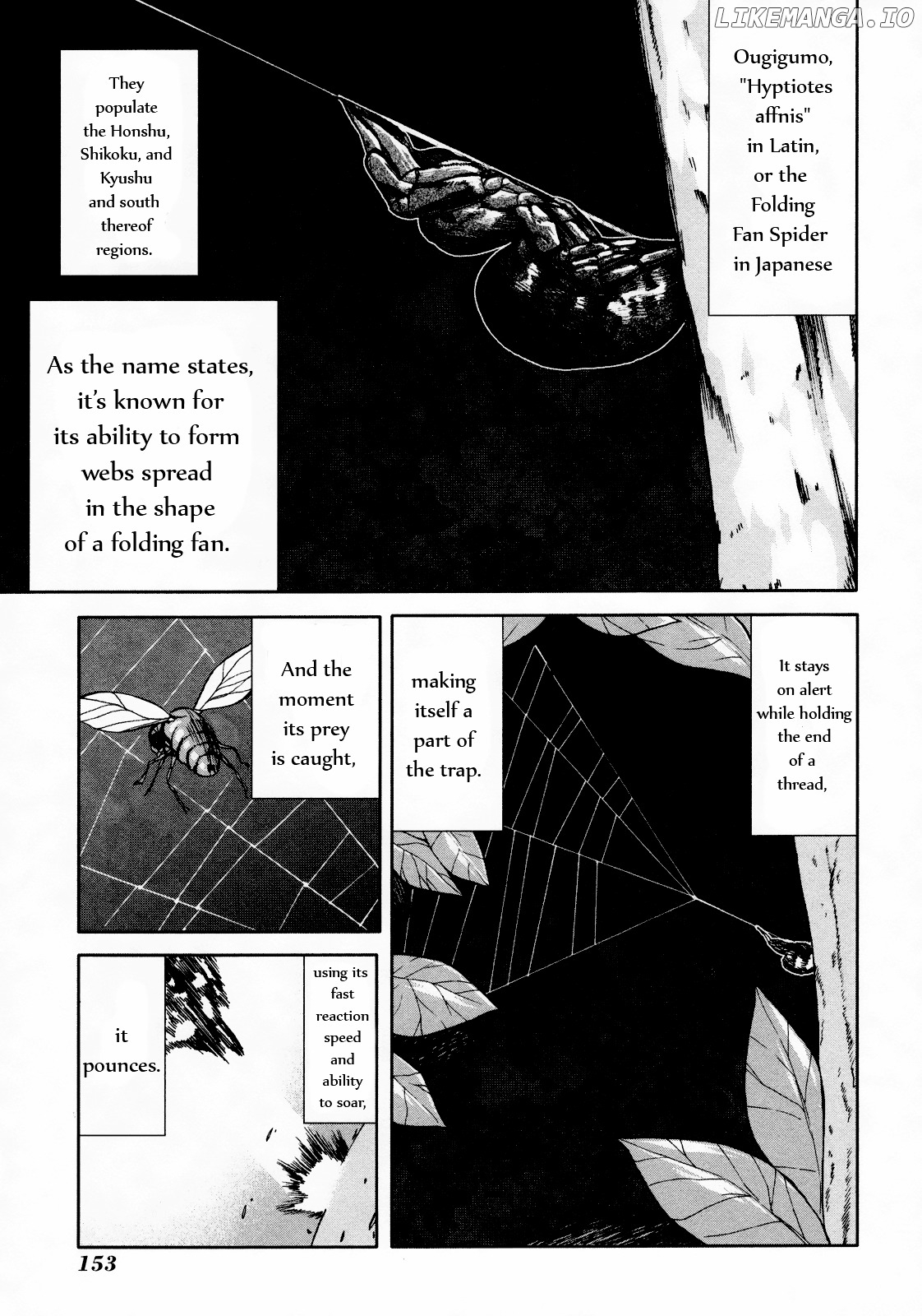 Arachnid - Manga chapter 49 - page 13