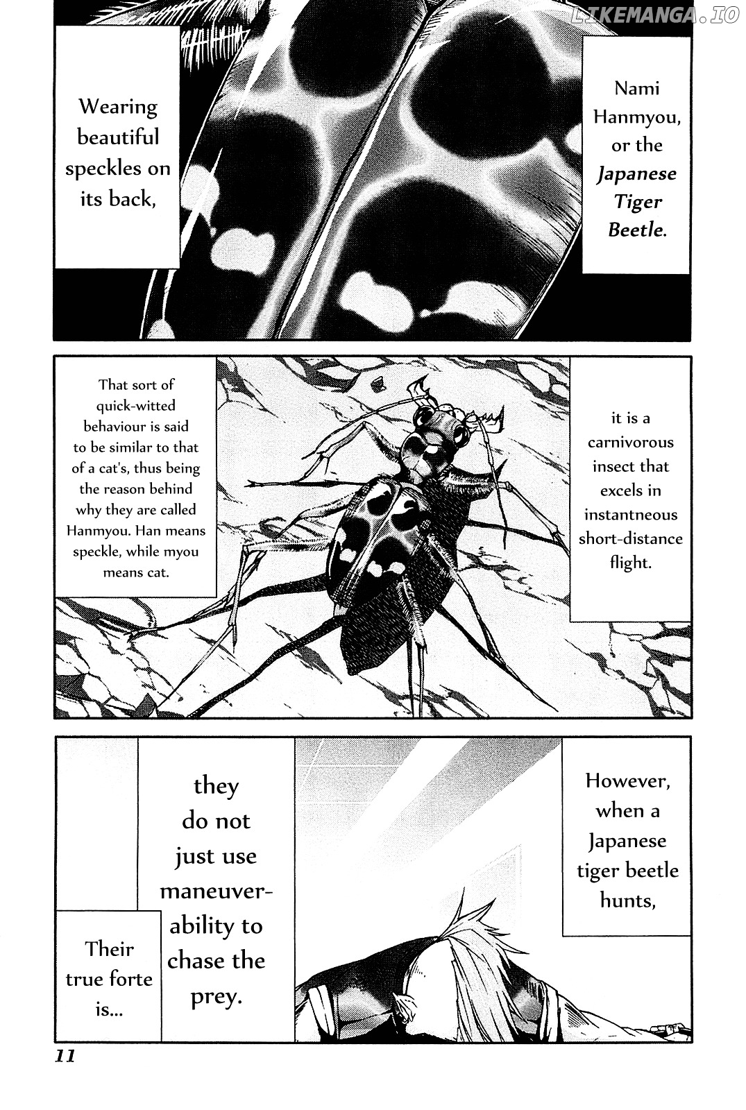 Arachnid - Manga chapter 21 - page 14