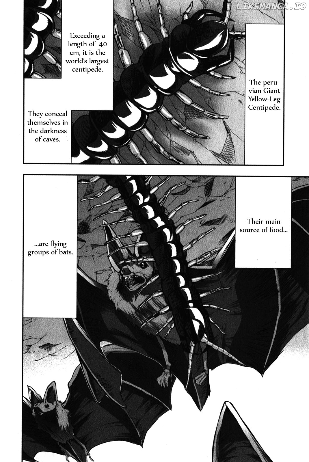 Arachnid - Manga chapter 29 - page 8