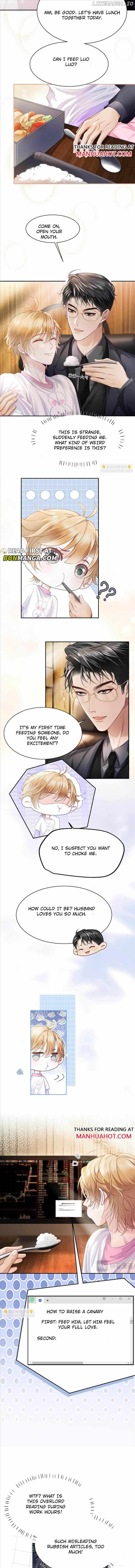 The Young Master Relies on His Beauty to Dominate the Entire System Chapter 13 - page 5