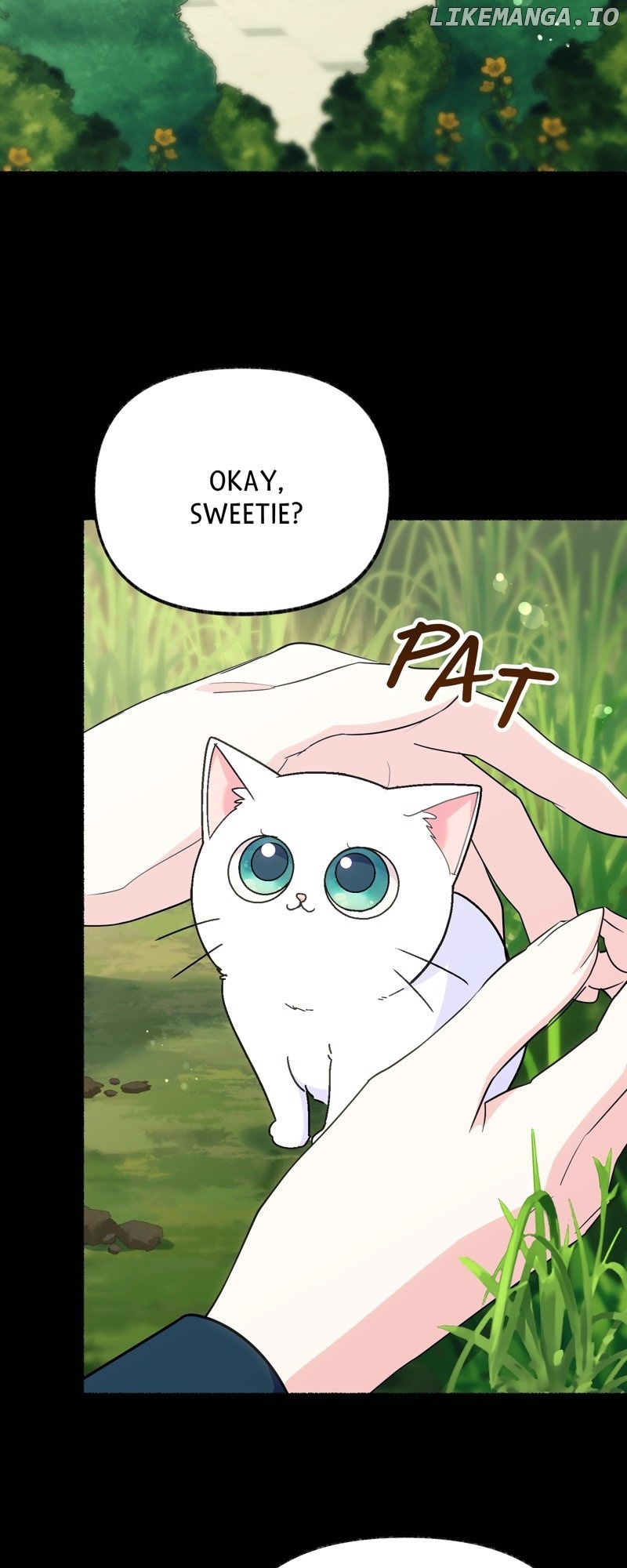 The Possesive Tyrant and His Sleepy Cat Chapter 13 - page 2