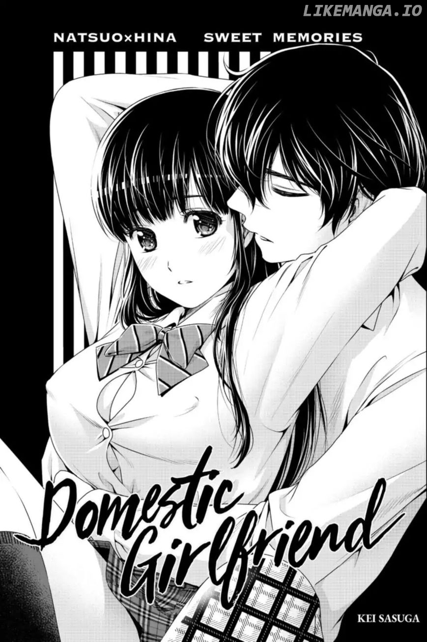 Domestic na Kanojo chapter 164.5 - page 24