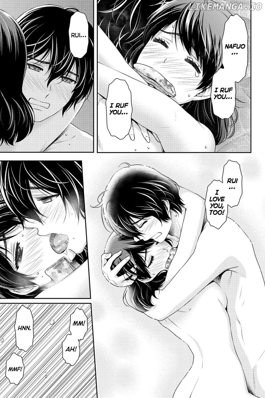 Domestic na Kanojo chapter 164.6 - page 13