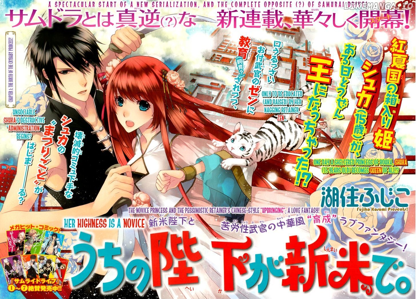 Uchi No Heika Ga Shinmai De chapter 1 - page 3