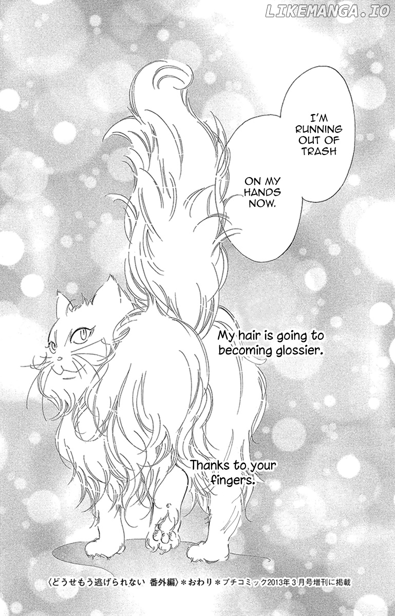 Douse Mou Nigerarenai chapter 20.5 - page 10