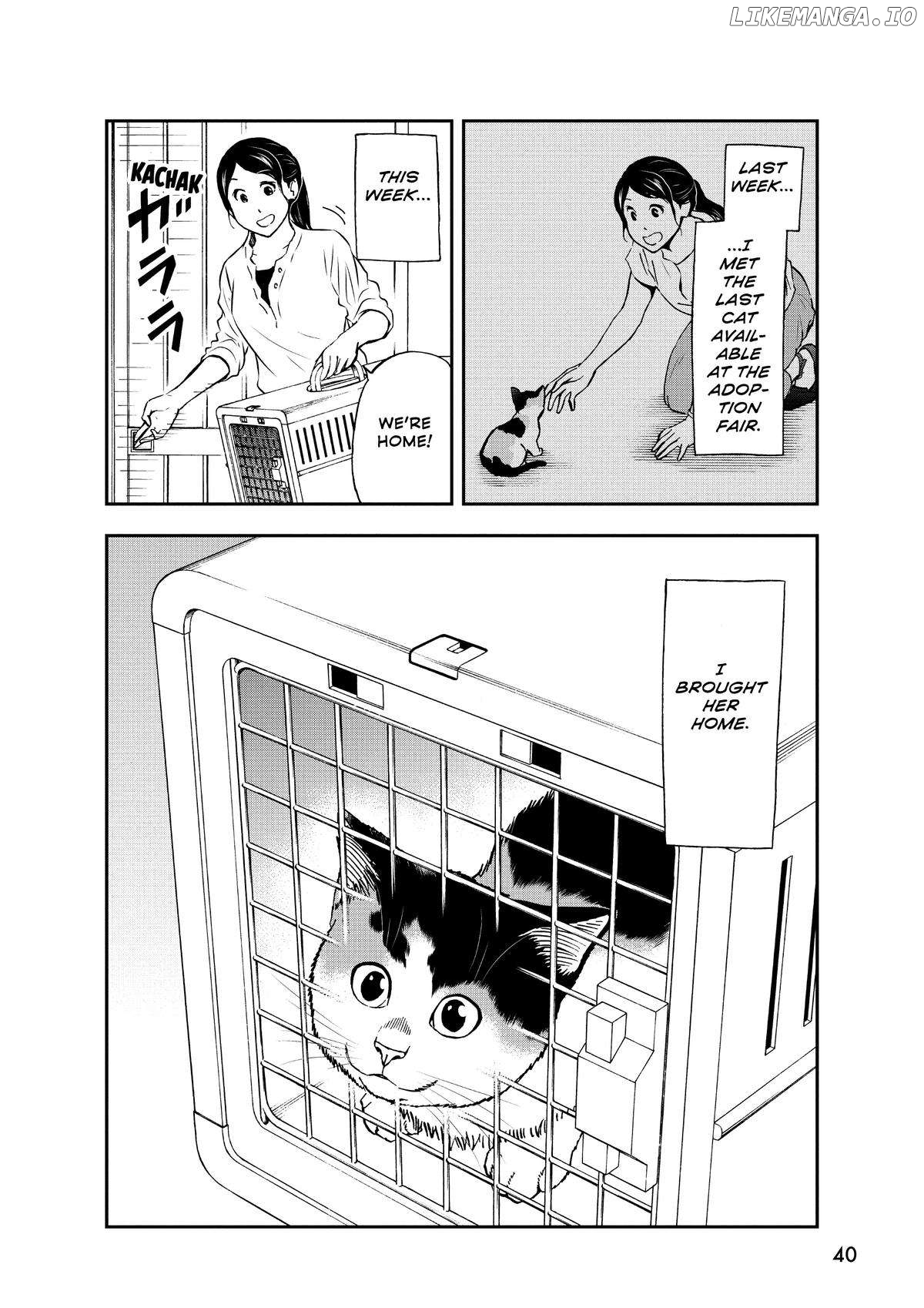 A Gamer Living With A Cat Chapter 29 - page 2