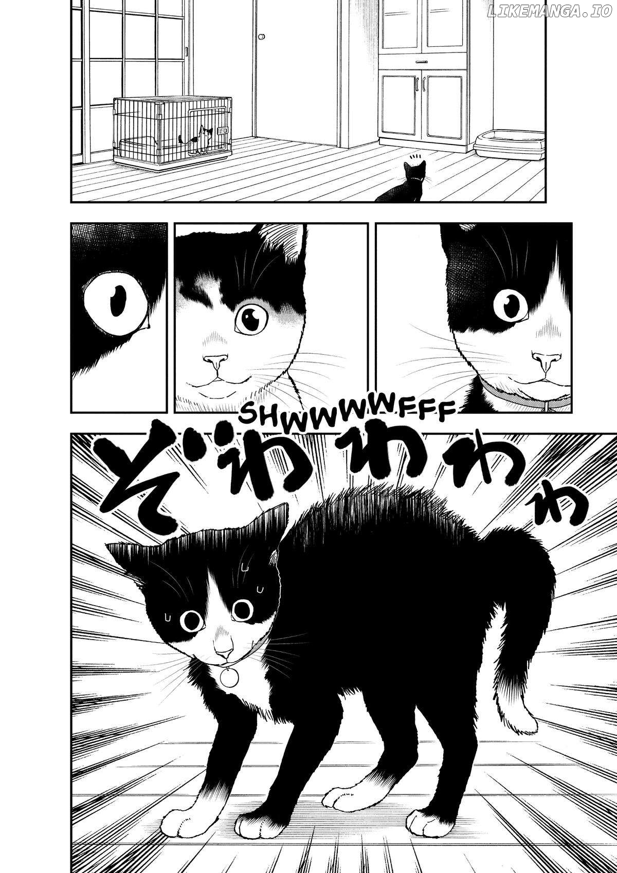 A Gamer Living With A Cat Chapter 29 - page 6