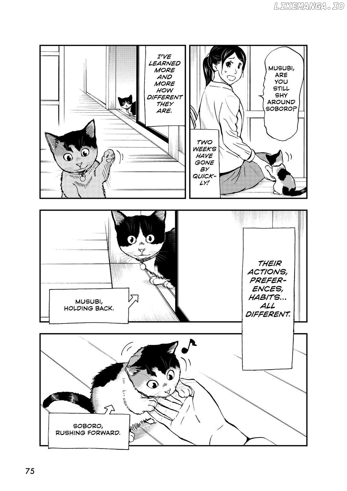 A Gamer Living With A Cat Chapter 31 - page 3